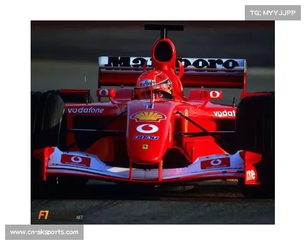 舒马赫伤势保密十年,好友透露家庭隐私保护决心 舒马赫伤势保密十年,好友透露家庭隐私保护决心